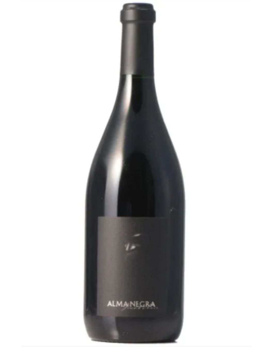 Vinho Tinto Alma Negra Pinot Noir 2021 750 ML
