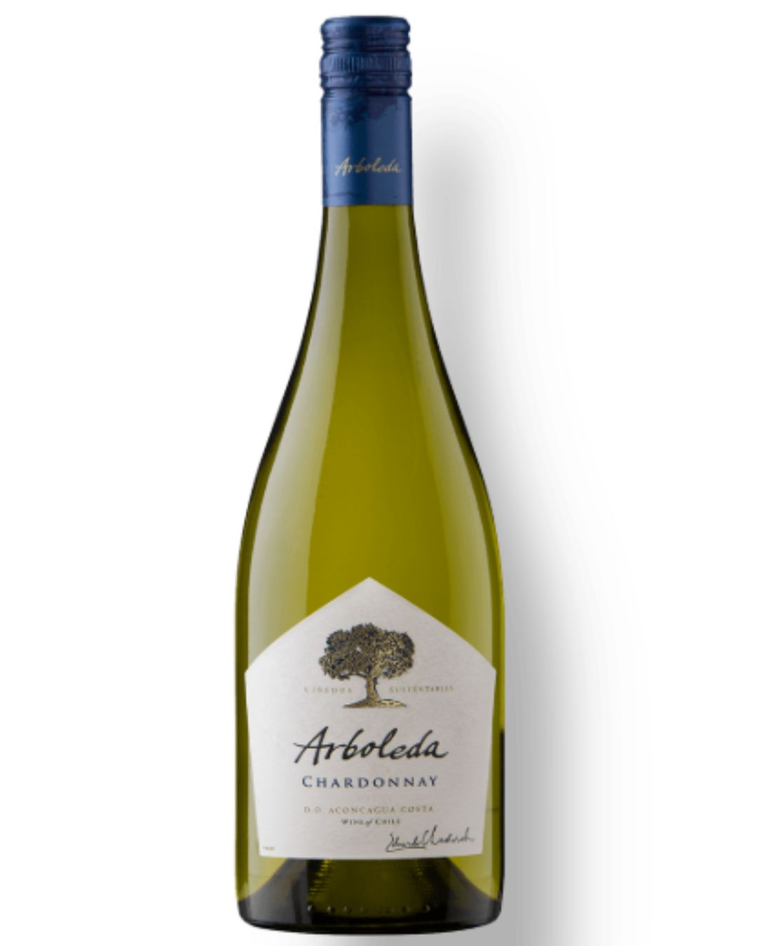 Vinho Branco Arboleda  Chardonnay 750ML