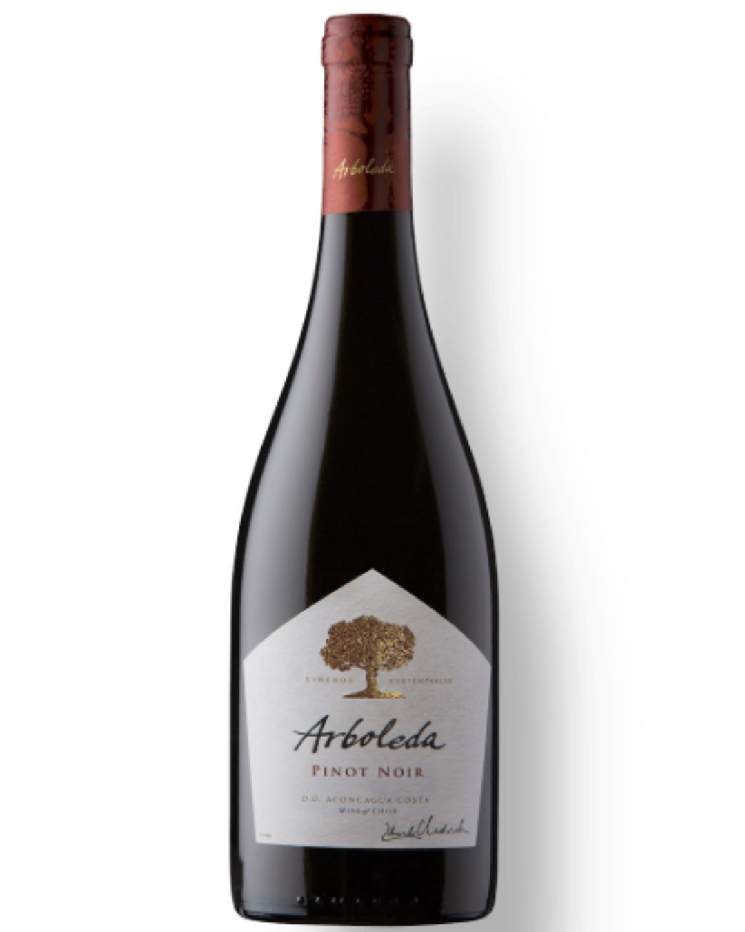 Vinho Tinto Arboleda Pinot Noir 750 ML