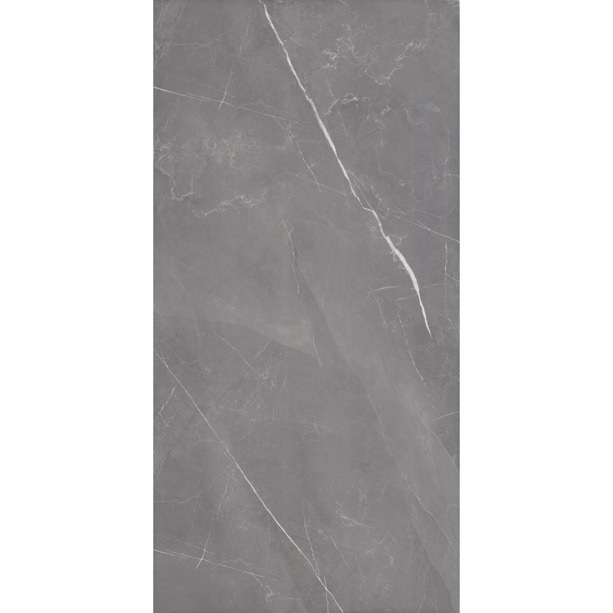 Cer 60x120 Valencia Gris Ret Pol Tipo a Cx 2,15 Pointer